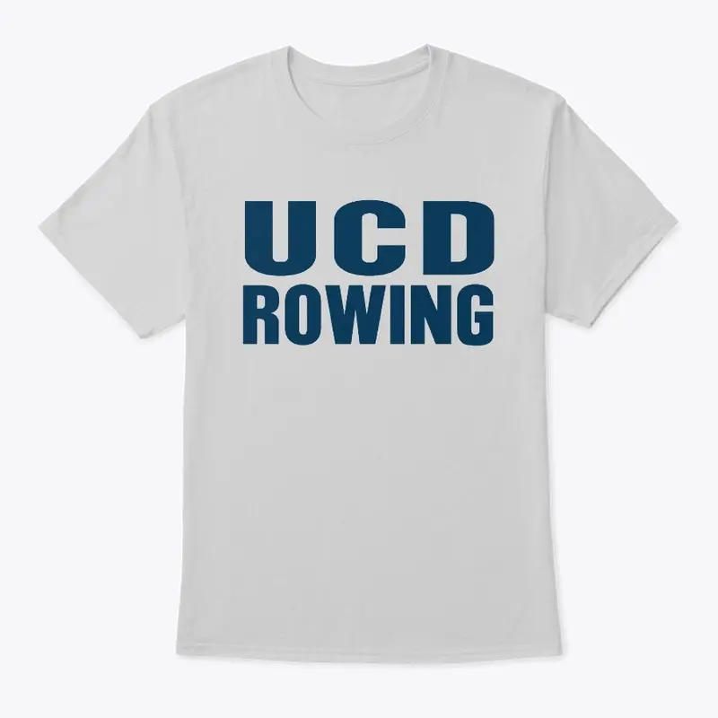 Grey UCD Prison Tee